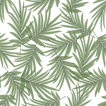 Tropical seamless pattern with palm leaves on green backdrop. Seamless green and white botanical backdrop. vector illustration.