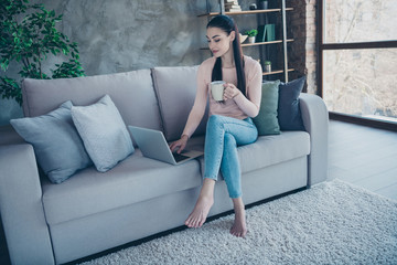 Obraz premium Photo of pretty lady with hot beverage texting notebook with friends sitting comfortable sofa wearing pullover and jeans in apartment