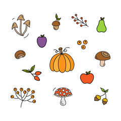 Autumn plants, nuts, fruit and mushroom vector illustration set. Fall colorful hand drawn outlined natural forest berries and fruit collection. Isolated.