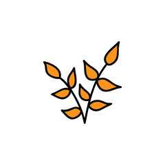 Leaves vector illustration. Hand drawn cute autumn orange leaf branch. Isolated cartoon graphic icon.