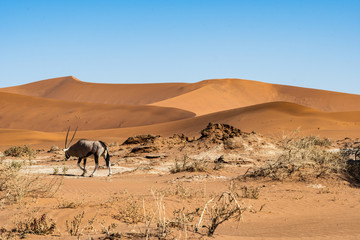 BEAUTIFUL LANDSCAPES OF NAMIBIA IN AFRICA