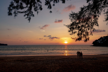 Big pine tree silhouette and people during sunset at Kamala beach, Phuket, Thailand