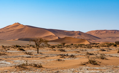 Désert de sossusvlei en Namibie, Afrique