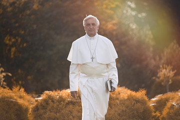 Pope walks at the end of the day in the garden      