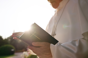 Pope reads the Bible in the garden