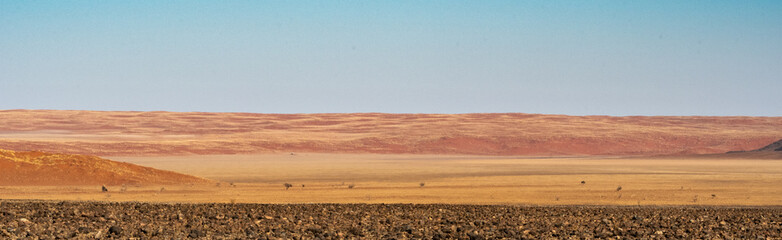 BEAUTIFUL LANDSCAPES OF NAMIBIA IN AFRICA