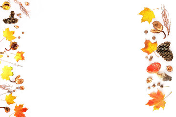 Autumn composition on a white background. Frame made of dried leaves and other natural material. Flat lay, top view, copy space