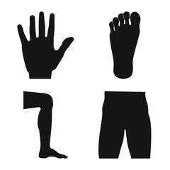 Vector design of human and part logo. Collection of human and woman stock symbol for web.