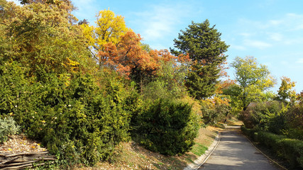 autumn nature on Gellert Hill in Budapest