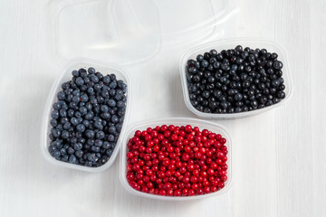 Berries laid out in containers and prepared for freezing and storage, top view