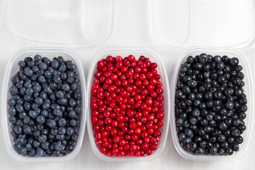 Berries laid out in containers and prepared for freezing and storage, top view
