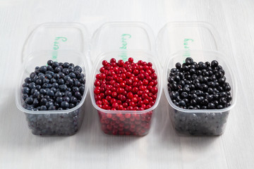 Berries laid out in containers, signed with a marker and prepared for freezing and storage