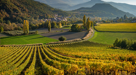 Vineyards and the village of Valserres in Autumn. Winery and grape vines in the Hautes-Alpes, Alps,...