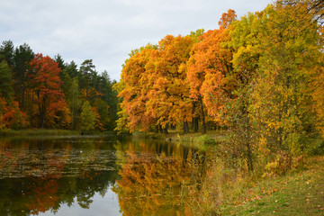 Obraz premium autumn landscape with lake and trees
