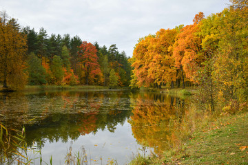 autumn landscape with lake and trees