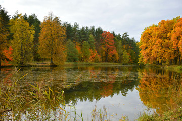 autumn landscape with lake and trees