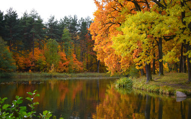 autumn landscape with lake and trees