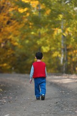 Obraz premium Cute little child, preschool boy, holding lantern and teddy bear, walking in a dark forest