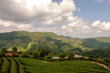 landscape with green hills and blue sky