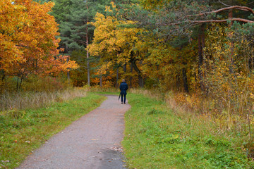 walk in the autumn Park