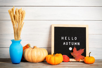 Autumn still life image with pumpkins, vase with rye grains, foliage and letter boards with words Hello Autumn against white wooden wall.