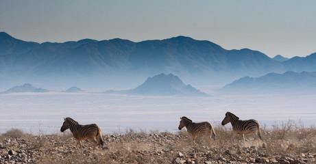 BEAUTIFUL LANDSCAPE IN NAMIBIA AFRICA