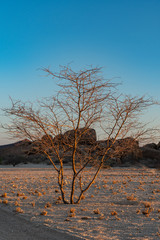 BEAUTIFUL LANDSCAPE IN NAMIBIA AFRICA