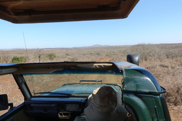 アフリカでのサファリドライブ