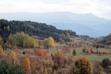 Naklejka premium Amazing golden autumn colors in the forest path track.artvin/turkey