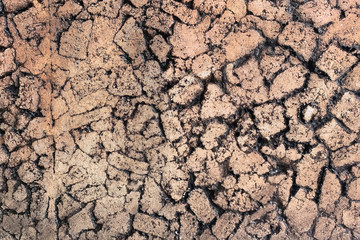 Texture dry cracked earth. desert background. The global shortage of water on the planet. Deep cracks in brown land as symbol of hot climate