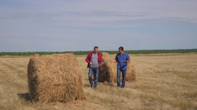 teamwork agriculture smart farming concept. lifestyle two men farmers workers walking studying haystack in field on digital tablet. teamwork slow motion video. people agronomist botanist farmers