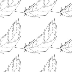 Feather isolated vector seamless pattern. Falling natural feather.