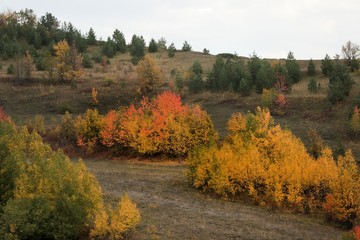 Fototapeta premium Amazing golden autumn colors in the forest path track.artvin/turkey