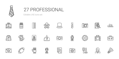 professional icons set