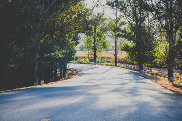 Curved country road in autumn