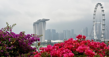 Obraz premium Singapore skyline with Marina Bay Sands building, the financial center, Singapore Flyer and flowers in the foreground