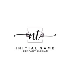 NT Beauty vector initial logo, handwriting logo.