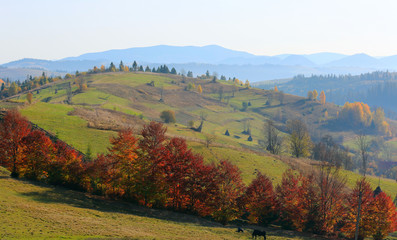 Nice autumn landscape in mountains, Carpathians, Ukraine