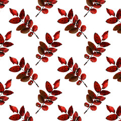Seamless pattern of autumn leaves. Print of red rosehip leaves on a white background. Botanical abstraction.