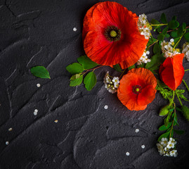 Bouquet of red poppies and white Spiraea on a black background. Wild flowers. - 294612708
