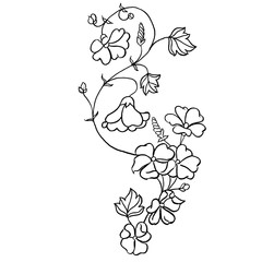 Graphic elements drawn with ink. Black-and-white graphics for design. Set of hand drawn design elements. Collection of black ink abstract textures.