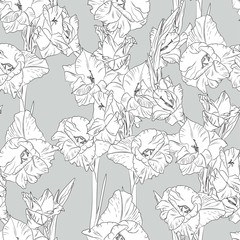 Floral seamless pattern with white line gladiolus on grey background. Flower print.