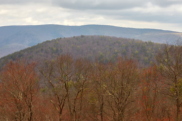 Blue Ridge mountain scenery in the St. Mary's Wilderness near Waynesboro, Virginia 