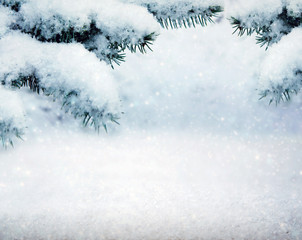 Fototapeta na wymiar Pine tree branches covered with snow. Winter background.