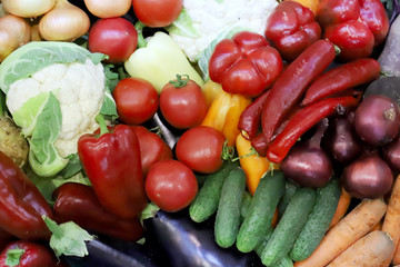 Various freshly picked  harvested vegetables