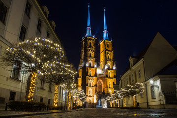 Fototapeta na wymiar View on The Cathedral of St. John the Baptist in Wrocaw at night. Poland