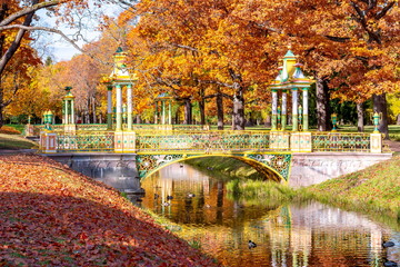 Chinese bridge in autumn in Alexander park, Pushkin (Tsarskoe Selo), St. Petersburg, Russia