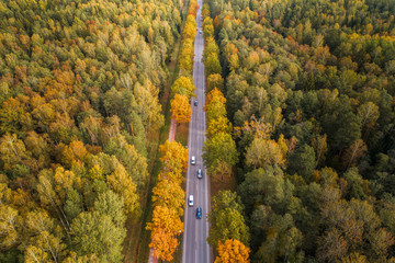 Aerial view of thick forest in autumn with road cutting through in Jelgava region , Latvia