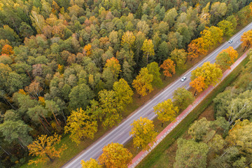 Aerial view of thick forest in autumn with road cutting through in Jelgava region , Latvia
