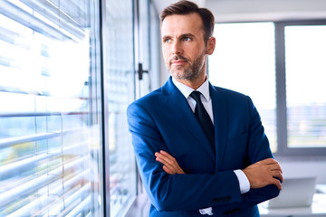 Portrait of adult businessman looking outside the window in office